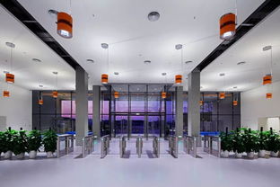 寶鷹精品項目 國際學校裝飾典范 薈同學校深圳校區(qū)